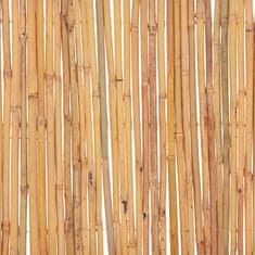 Vidaxl Ograja iz bambusa 500x50 cm