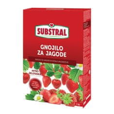 Substral Gnojilo za jagode, 1 kg + DARILO