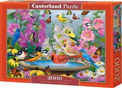 Castorland Puzzle Ritem narave 2000 kosov