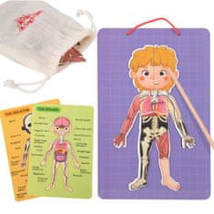 Tooky Toy Tooky Toy Montessori Magnetna lesena sestavljanka Učenje človeške anatomije 78el.