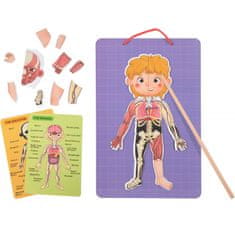 Tooky Toy Tooky Toy Montessori Magnetna lesena sestavljanka Učenje človeške anatomije 78el.