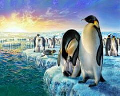 Slikanje po številkah - Pingvini na ledu 40 x 50 cm (brez okvirja)