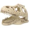 Dekorace T-REX lebka 13,3 cm