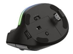 Trust Bayo ergonomska brezžična miška, RGB, črna - odprta embalaža