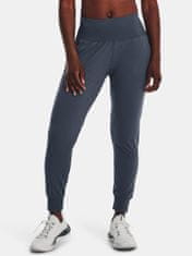 Under Armour Trenirka Meridian Jogger-GRY L