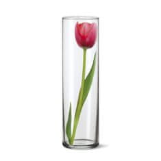 Simax Steklena vaza DRUM II 27,5 x 8,4 cm, komplet 6 kosov