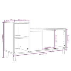 Vidaxl TV omarica bela 100x35x55 cm inženirski les