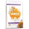 IAMS Dog Puppy Large Chicken 12 kg