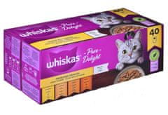 Whiskas Whiskas piščančja enolončnica v želeju 40 x 85 g - mokra hrana za odrasle mačke vseh pasem