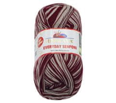 Himalaya EVERYDAY SENFONi - 100g / 196 m - bordo, siva