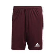 Adidas Hlače obutev za trening bordo rdeča 176 - 181 cm/L Squadra 21