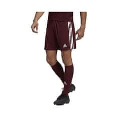 Adidas Hlače obutev za trening bordo rdeča 176 - 181 cm/L Squadra 21