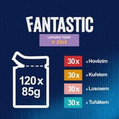 Felix Fantastic multipack okusen izbor v želeju, 120 x 85 g