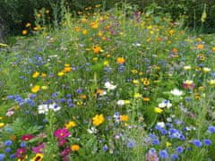 Glaeser cvetlični travnik brez trave, Honey & Butterfly, 10 x 1.2 m (600125)