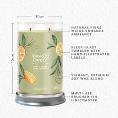 Yankee Candle Dišeča sveča Signature Tumbler v steklu velika Sage &amp