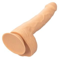 California Exotics Studs realističen dildo, 20,32 cm