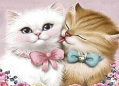 Norimpex Diamantna slika Cats in Love 30x40cm