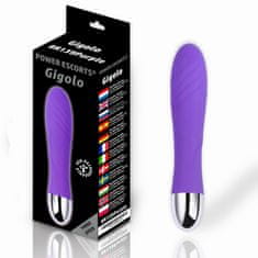 Miramarket Vibrator - Gigolo USB vijolični