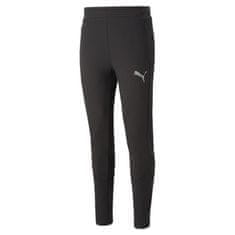 Puma Hlače črna 192 - 197 cm/XXL Evostripe Pants