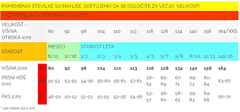 Widmann Pustni Kostum Vitez, 104