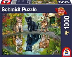 Schmidt Puzzle Dream Big 1000 kosov