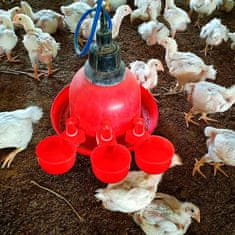 Avtomatski napajalnik za kokoši in ostalo perutnino (6 kosov), ChickenBowl