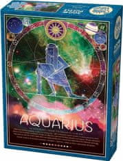 Cobble Hill Puzzle Zodiac sign: Aquarius 500 kosov