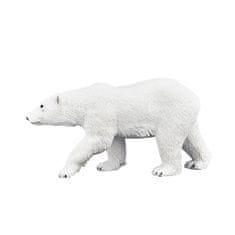 Polarni medved Mojo