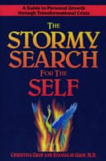 The Stormy Search for the Self