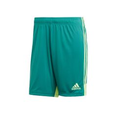 Adidas Hlače obutev za trening zelena 164 - 169 cm/S Tastigo 19