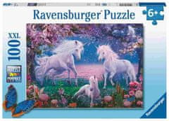 Ravensburger sestavljanka, Samorogi, 100/1