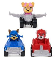 Spin Master Paw Patrol Skye večnamensko pakiranje mini avtomobilov