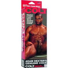 California Exotics Colt - Adam Dexter dildo