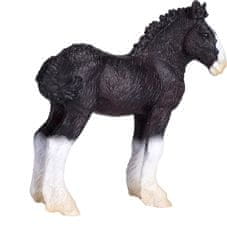 Žrebiček konja Mojo Shire