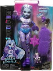 Monster High Abbey Lutka pošast (HPD53)