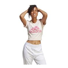 Adidas Majice krem XS Big Logo Tee