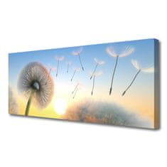 tulup.si Slika na platnu Dandelion flower rastlin 125x50 cm