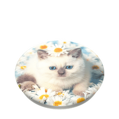 PopSockets PopTop Gen.2, Purr-fect Flower, mačica v marjeticah, zamenljiv vrh