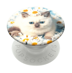 PopSockets PopTop Gen.2, Purr-fect Flower, mačica v marjeticah, zamenljiv vrh