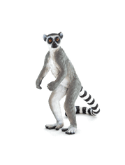 Mojo Lemur kata