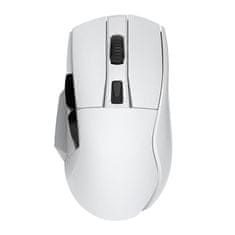 NEW Brezžična gaming miška + polnilna postaja Dareu A955 RGB 400-12000 DPI (bela)