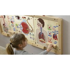 Masterkidz  Montessori izobraževalna tabla za dihalni sistem