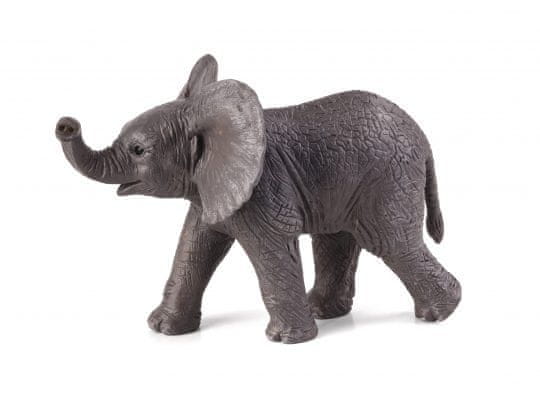 Mojo Slon Afriški slon, ki se igra