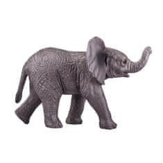 Mojo Slon Afriški slon, ki se igra