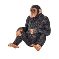Šimpanz Mojo