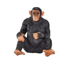 Šimpanz Mojo