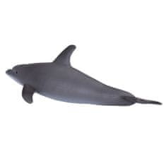 Mojo Bouncy Dolphin