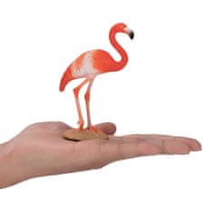 Mojo Caribbean Flamingo