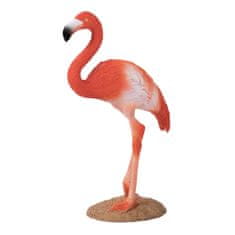 Mojo Caribbean Flamingo