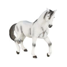 Mojo Andaluzijski konj sive barve